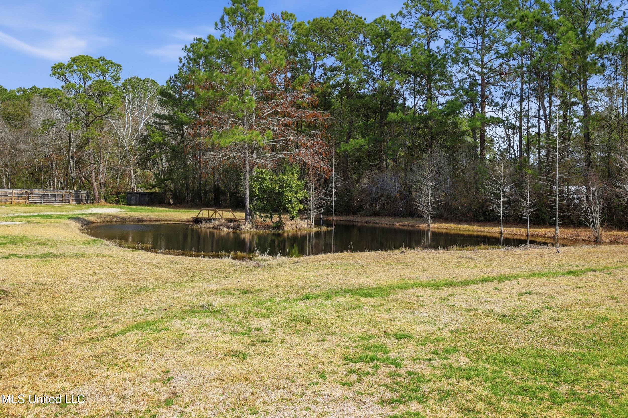 9302 Seaman Road Vancleave, MS 39565 - Photo 60 of 60 r6__9841