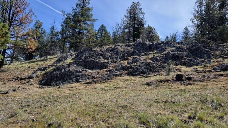 1315 Lofton Creek Road Prineville, OR 97754 - Photo 21 of 61 image000006 (2)