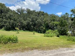 9110 Back Up Road Tampa, FL 33637 - Photo 1 of 1 a view of a garden