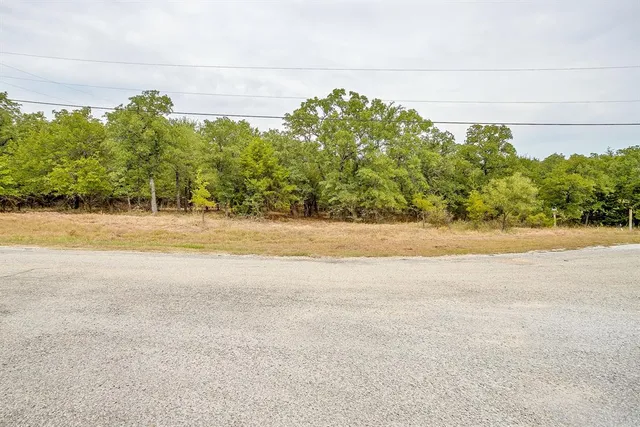 an aerial view of residential house with green space