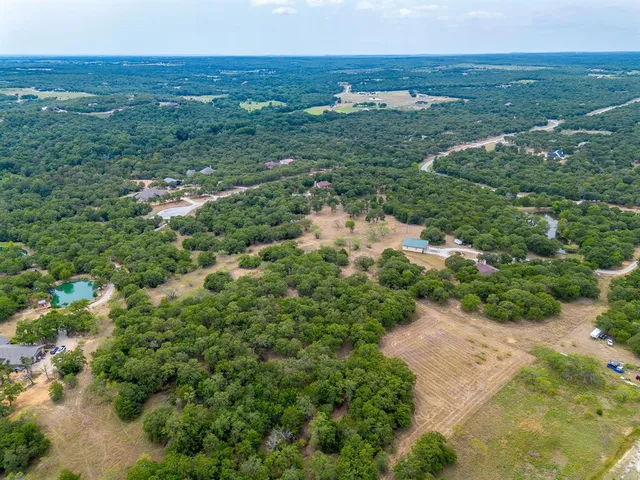 a view of a plant with lots of bushes
