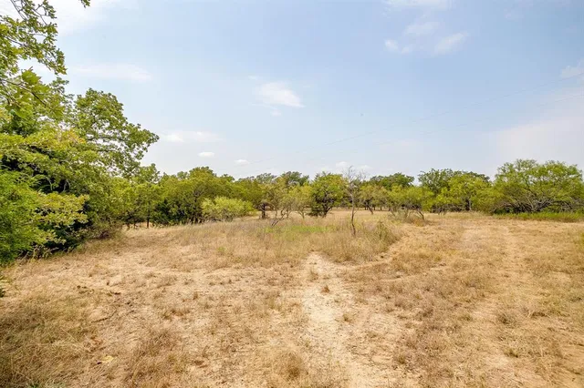 a view of outdoor space with trees
