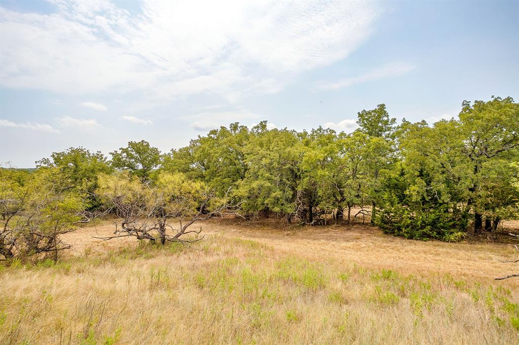 205 Pheasant Run Court Sunset, TX 76270 - Photo 8 of 28 a view of outdoor space with trees