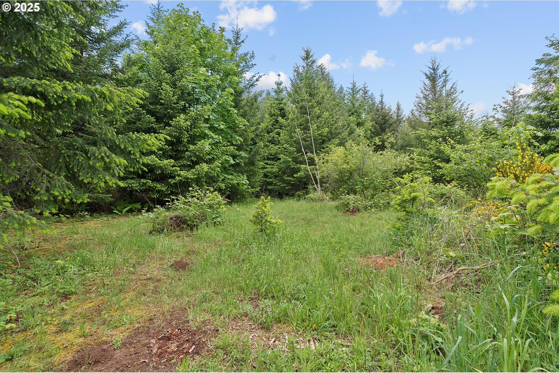 Northwest Pumpkin Ridge Road, Unit 400 North Plains, OR 97133 - Photo 15 of 36 Gallery Image 15