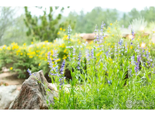 $1,149,000 | 237 Puma Drive, Boulder, CO 80302