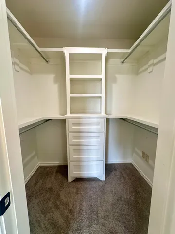 a view of backyard with flowers and trees