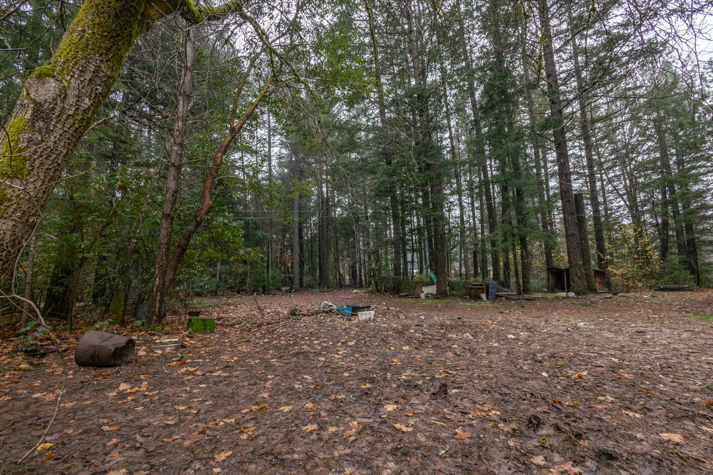 IMG_8869-HDR