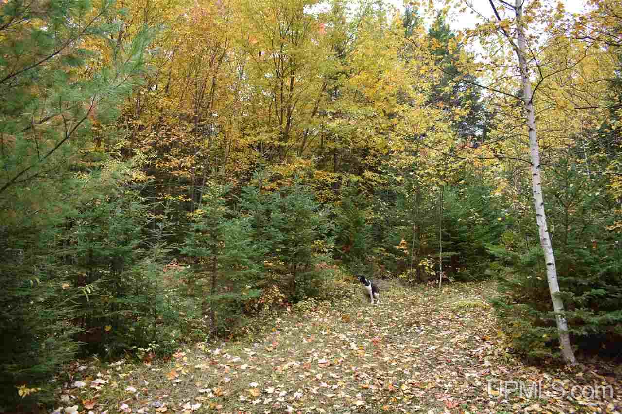 9-acres Deerton Road Deerton, MI 49822 - Photo 10 of 37 Gallery Image 10