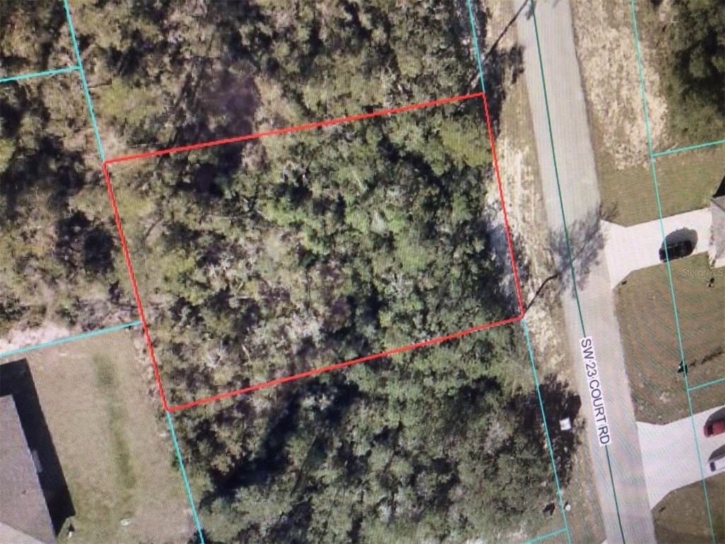 0 Southwest 151 Place Ocala, FL 34482 - Photo 11 of 15 a close up of a plant