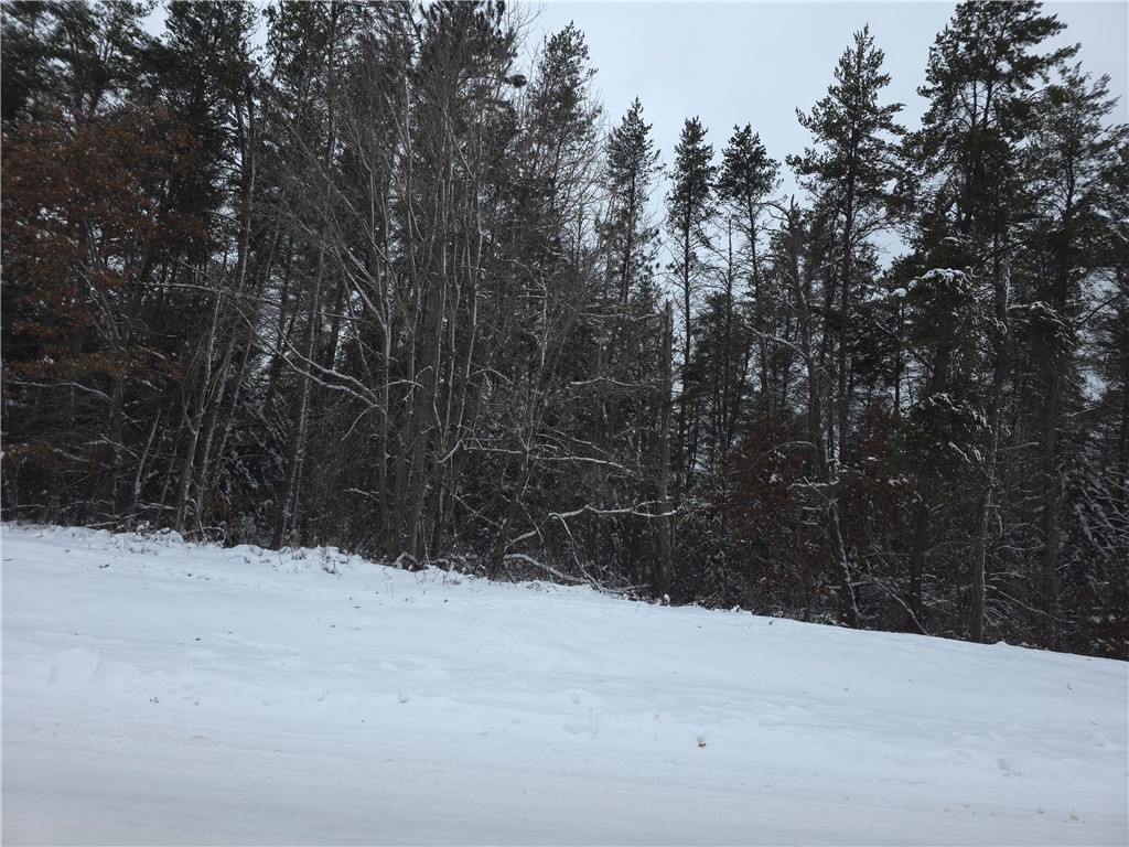0 Liesch Road Trego, WI 54888 - Photo 9 of 27