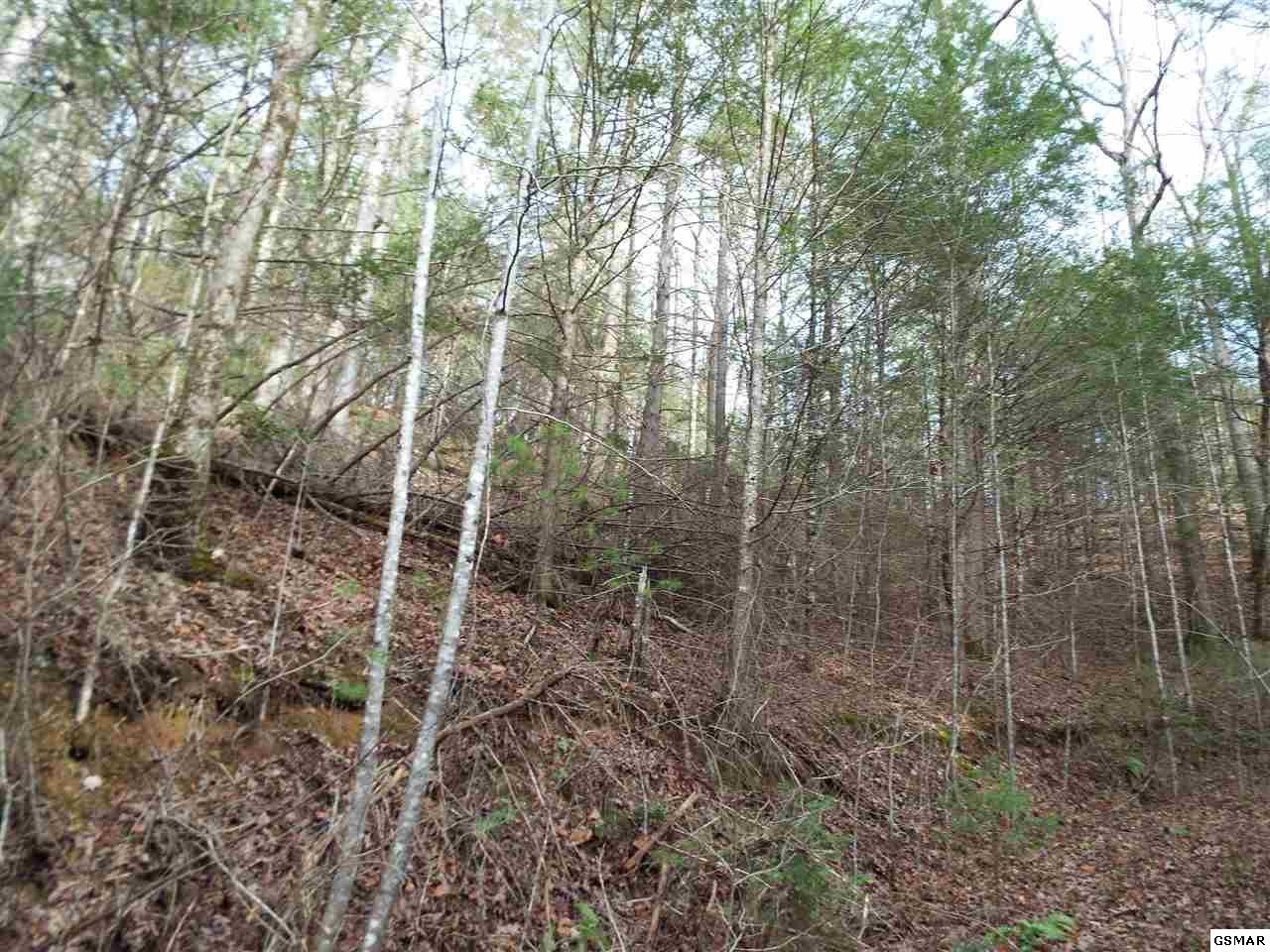 234 Yellow Breeches Road Cosby, TN 37722 - Photo 12 of 16 Gallery Image 12
