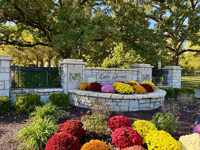 a view of backyard with tree