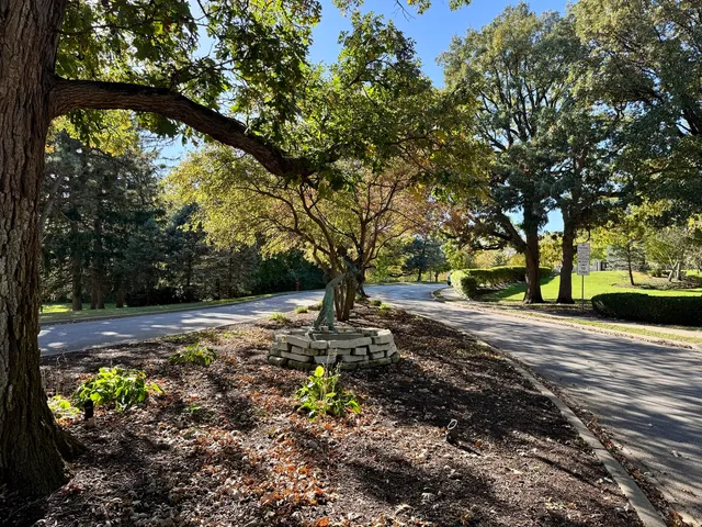 a view of backyard with table and chairs and potted plants