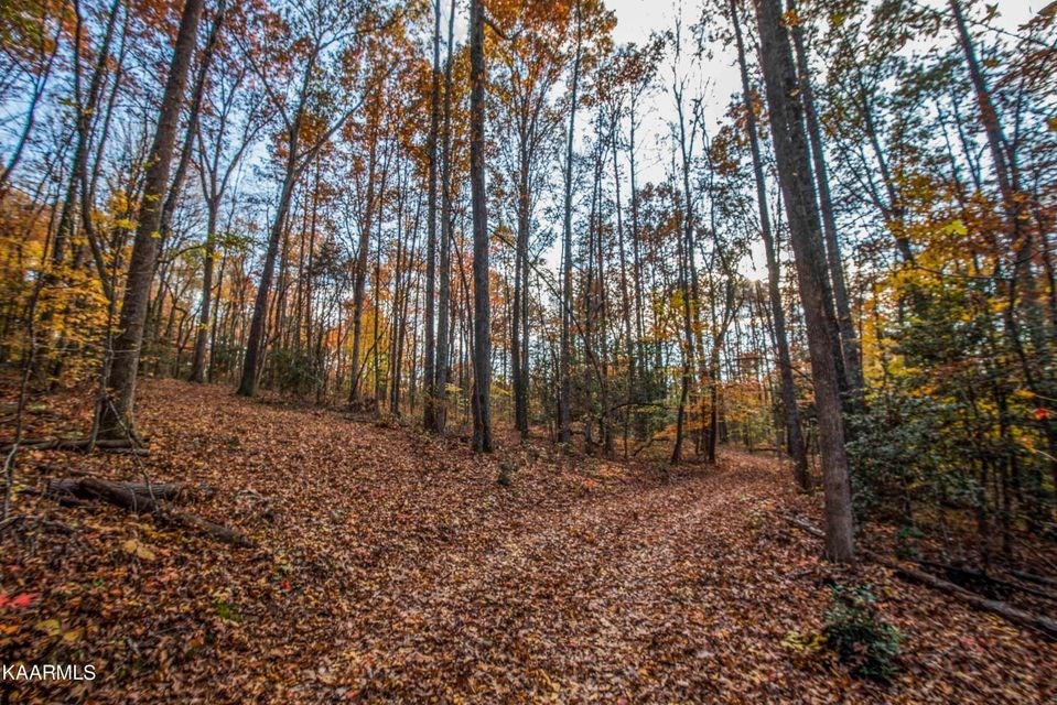 29980 Rhea County Highway Spring City, TN 37381 - Photo 9 of 12 Gallery Image 9
