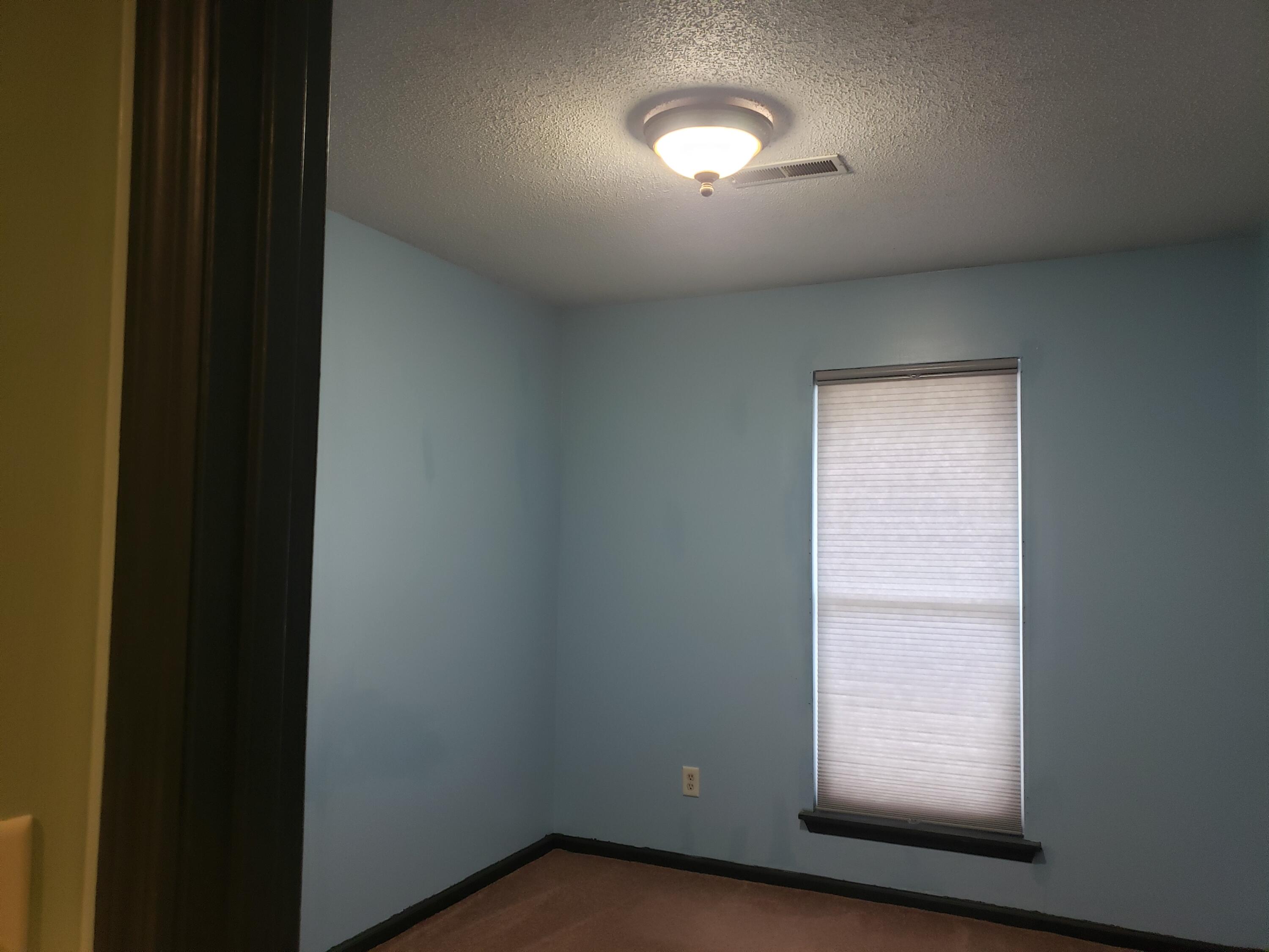 1015 Douglas Wayne Road Summerville, SC 29486 - Photo 17 of 24 Second bedroom.