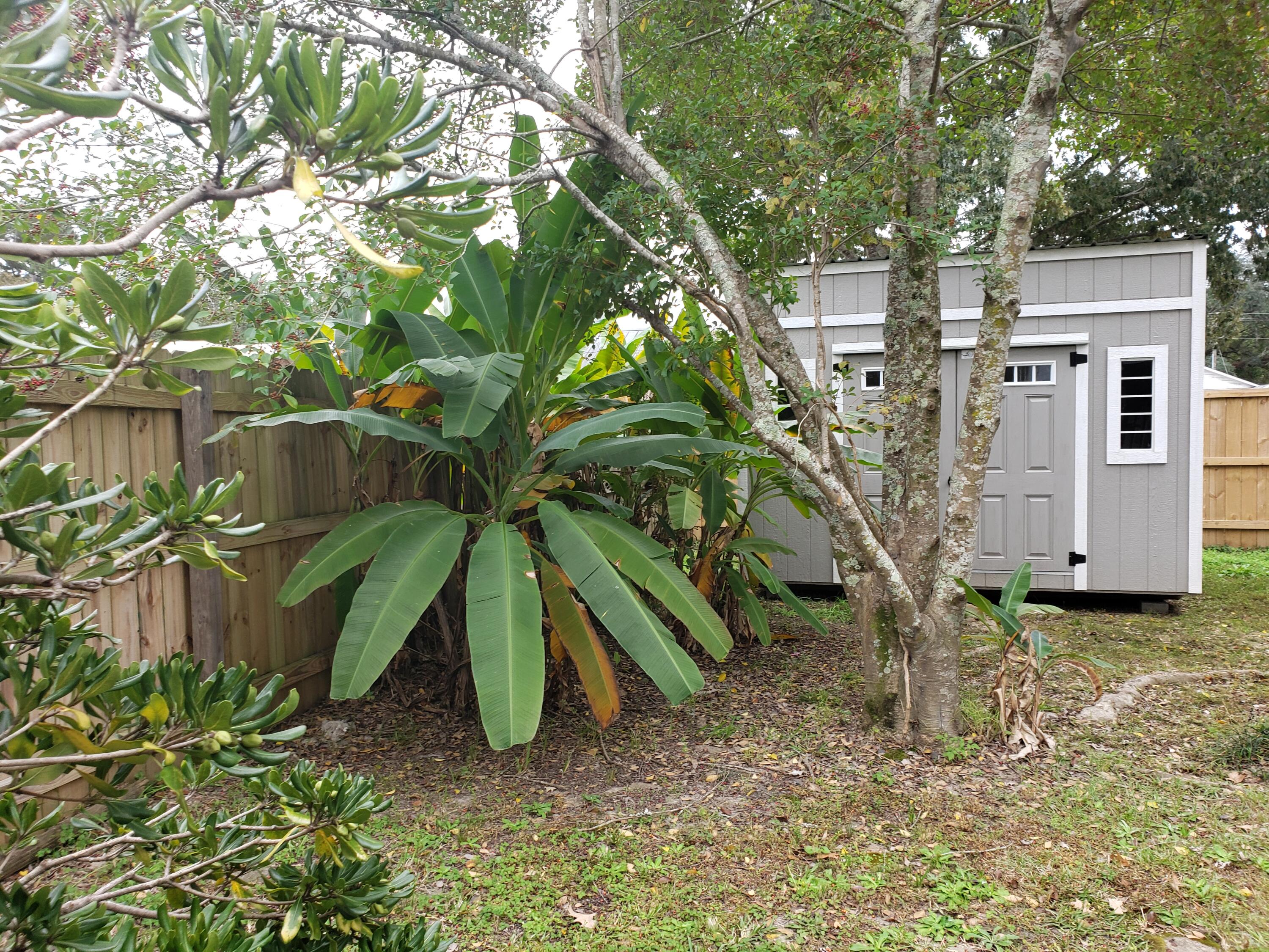 1015 Douglas Wayne Road Summerville, SC 29486 - Photo 24 of 24 Shed.