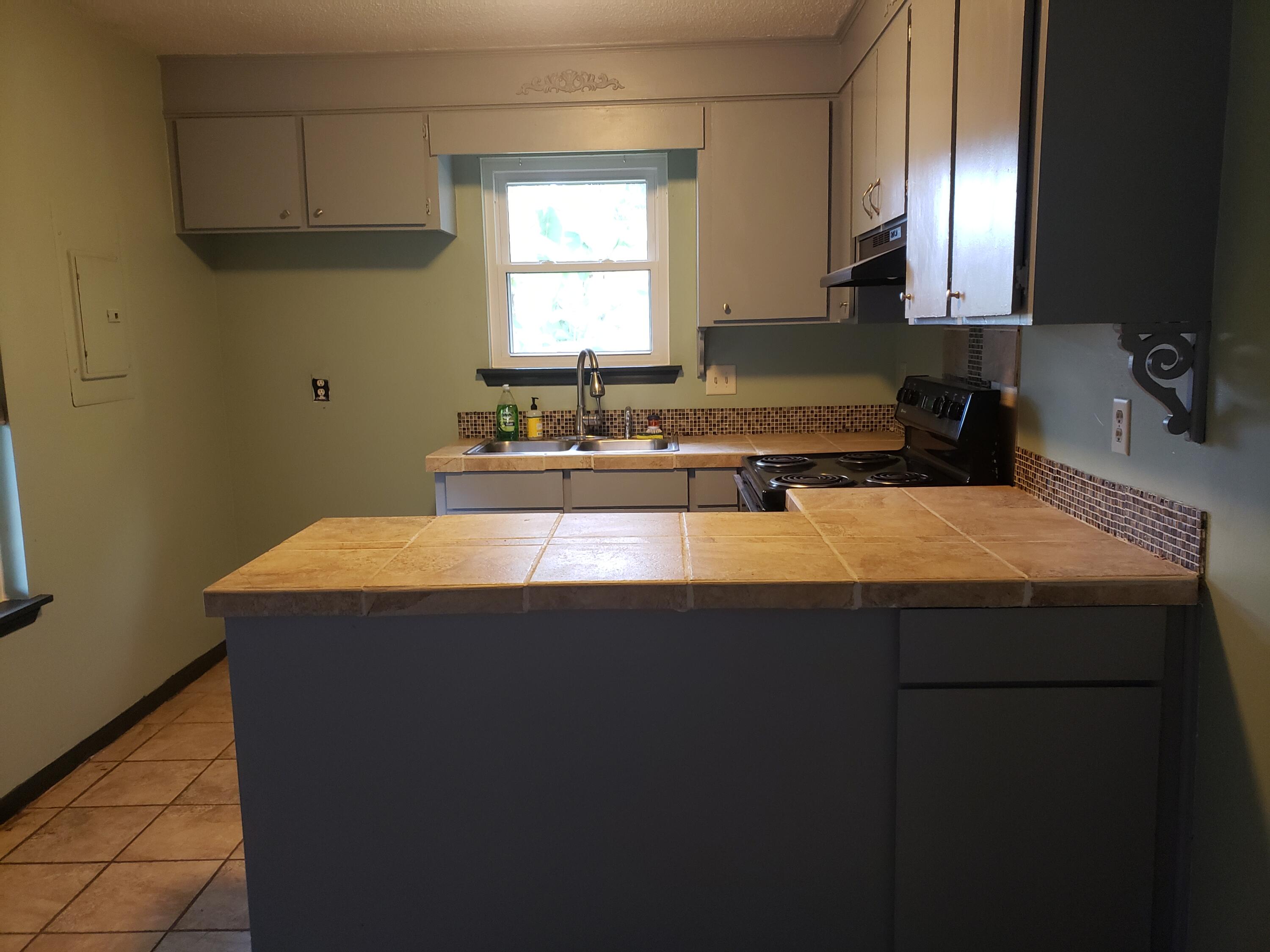 1015 Douglas Wayne Road Summerville, SC 29486 - Photo 6 of 24 Kitchen counter top.