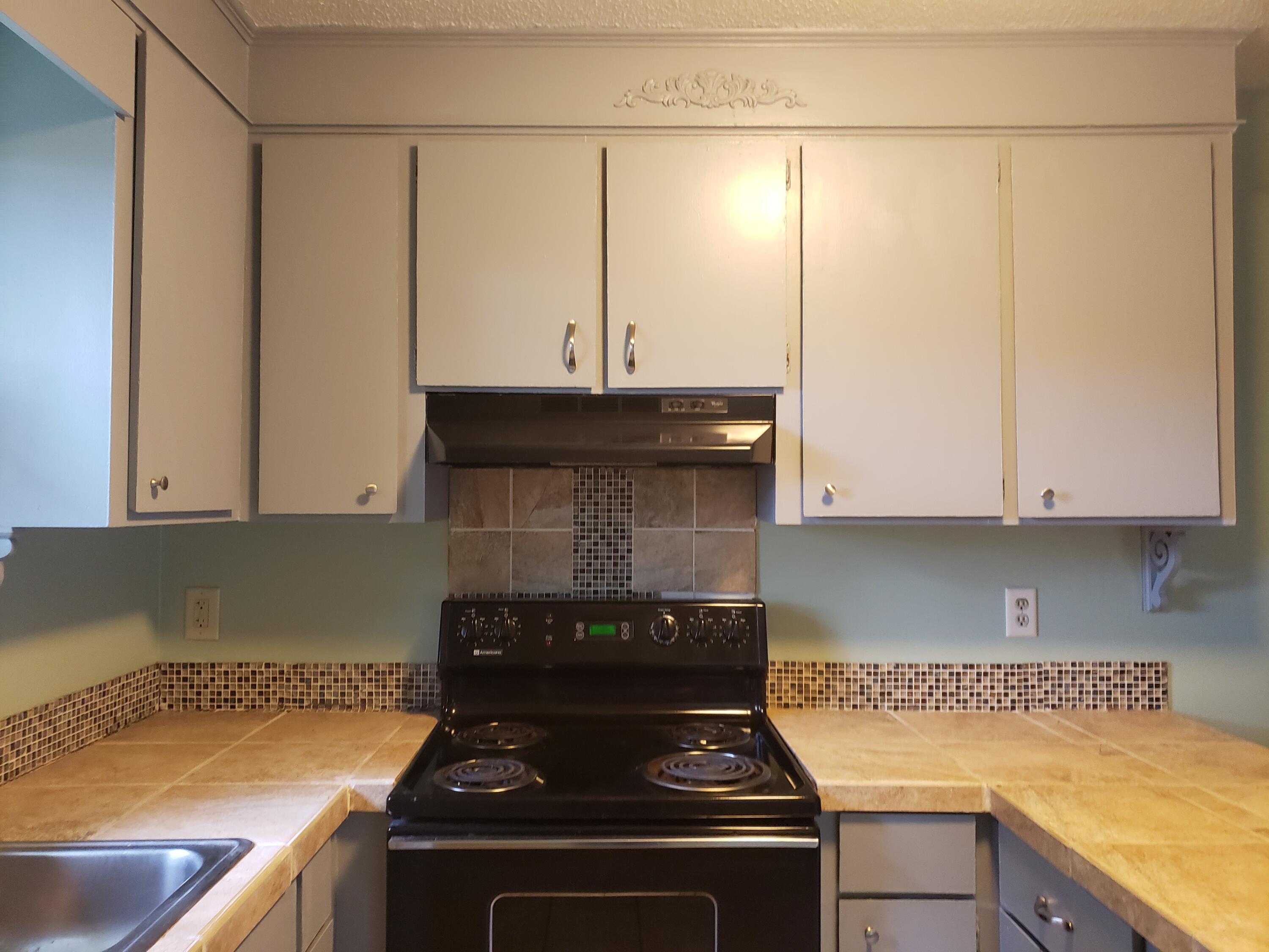 1015 Douglas Wayne Road Summerville, SC 29486 - Photo 7 of 24 Kitchen cabinets are gray.