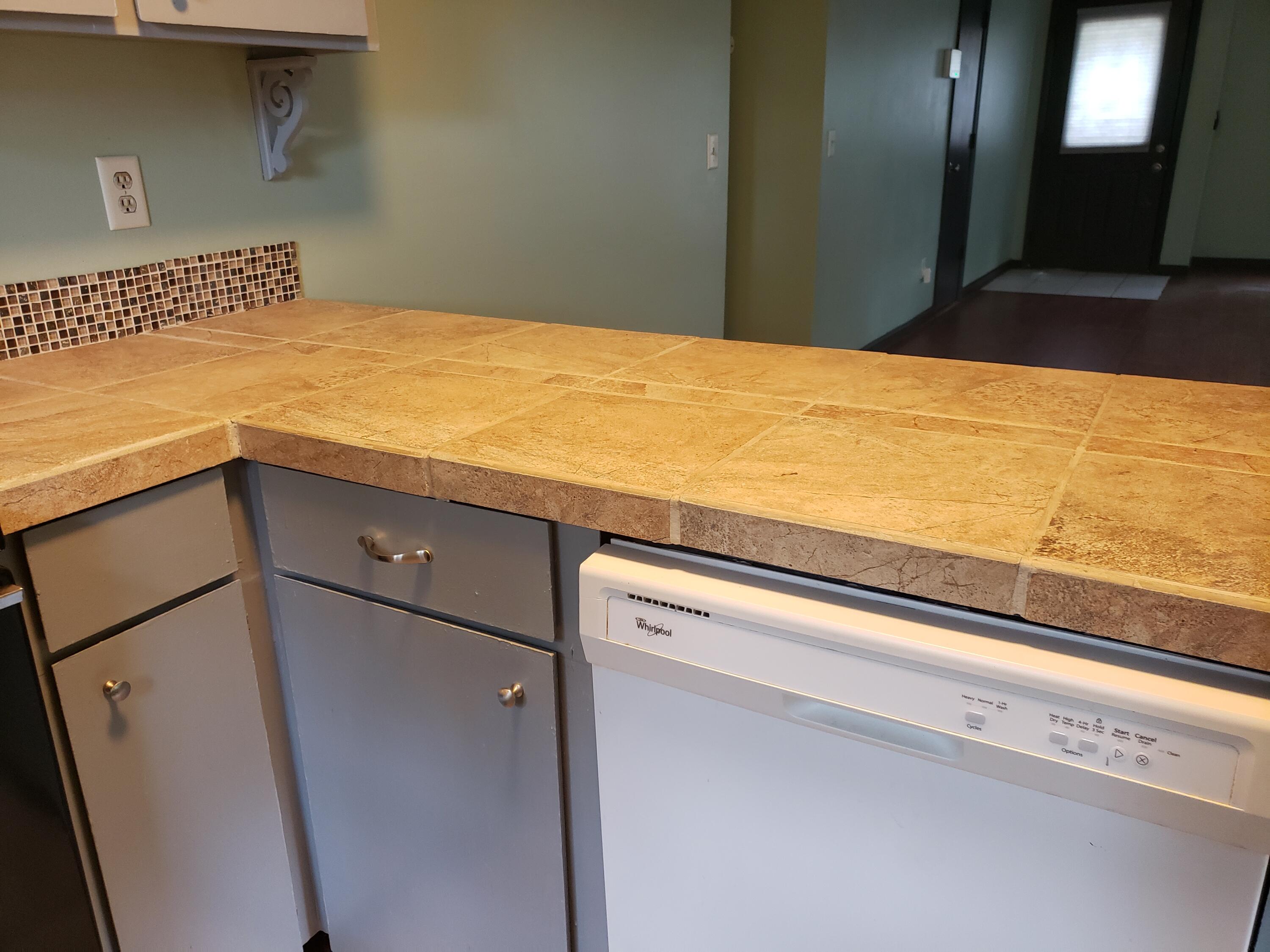 1015 Douglas Wayne Road Summerville, SC 29486 - Photo 9 of 24 Dishwasher.