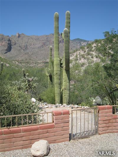 6870 North Cascade Spring Place Tucson, AZ 85718 - Photo 16 of 22