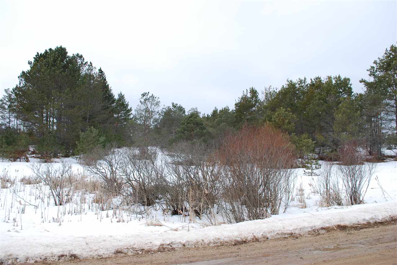 Parcel #4 Southeast Parcel Road Kalkaska, MI 49646 - Photo 6 of 8 1884642-5.JPG