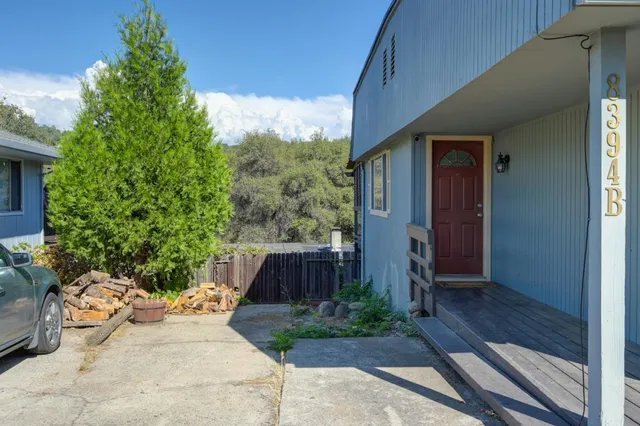 a view of a backyard with potted plants