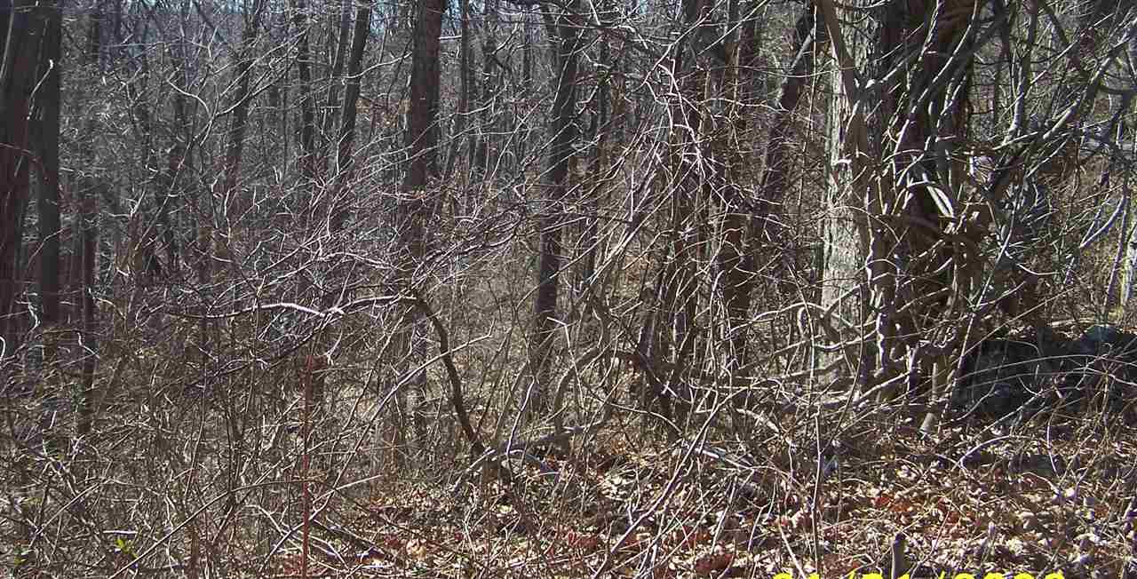 Tbd Elk Mountain Road Afton, VA 22920 - Photo 1 of 1