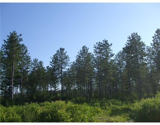 Lot D Grand Falls Road Eustis, ME 04936 - Photo 18 of 25 Yard/Garden.