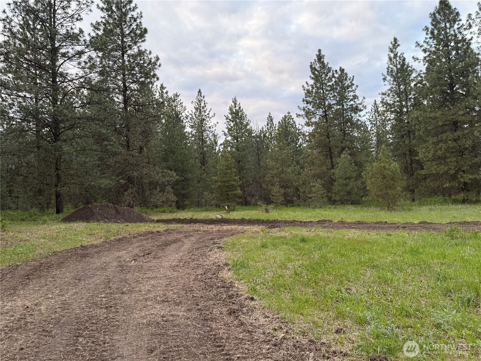 37235 Redwine Canyon Road Creston, WA 99117 - Photo 21 of 23 Gallery Image 21