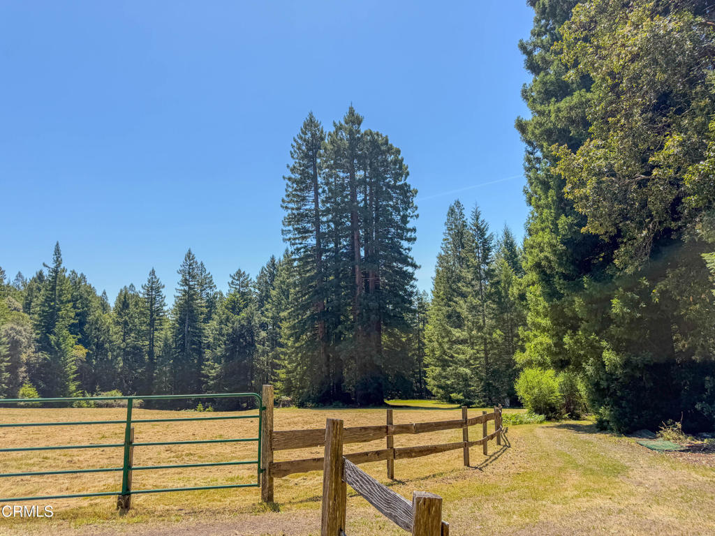 28680 Comptche Ukiah Road Comptche, CA 95427 - Photo 43 of 58 a view of park with trees