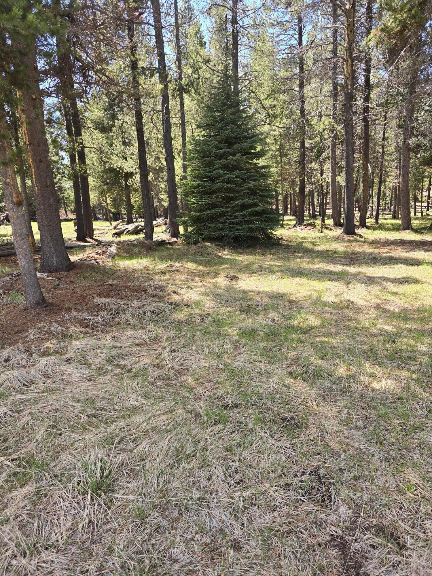 124055 2 Rivers Road Crescent Lake, OR 97733 - Photo 47 of 56 21