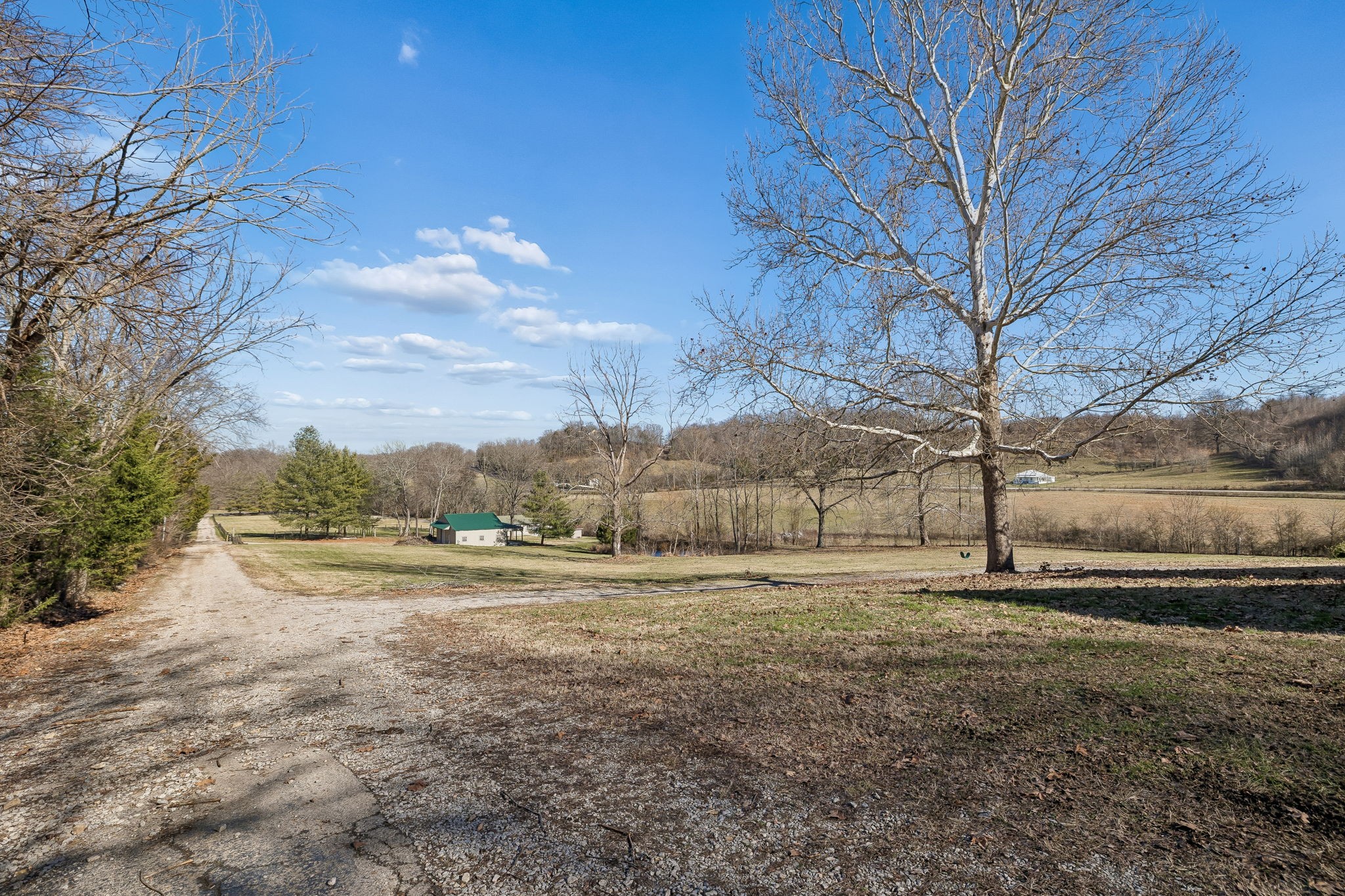 1909 Evergreen Road Thompson's Station, TN 37179 - Photo 53 of 75 a view of dirt yard with wooden fence