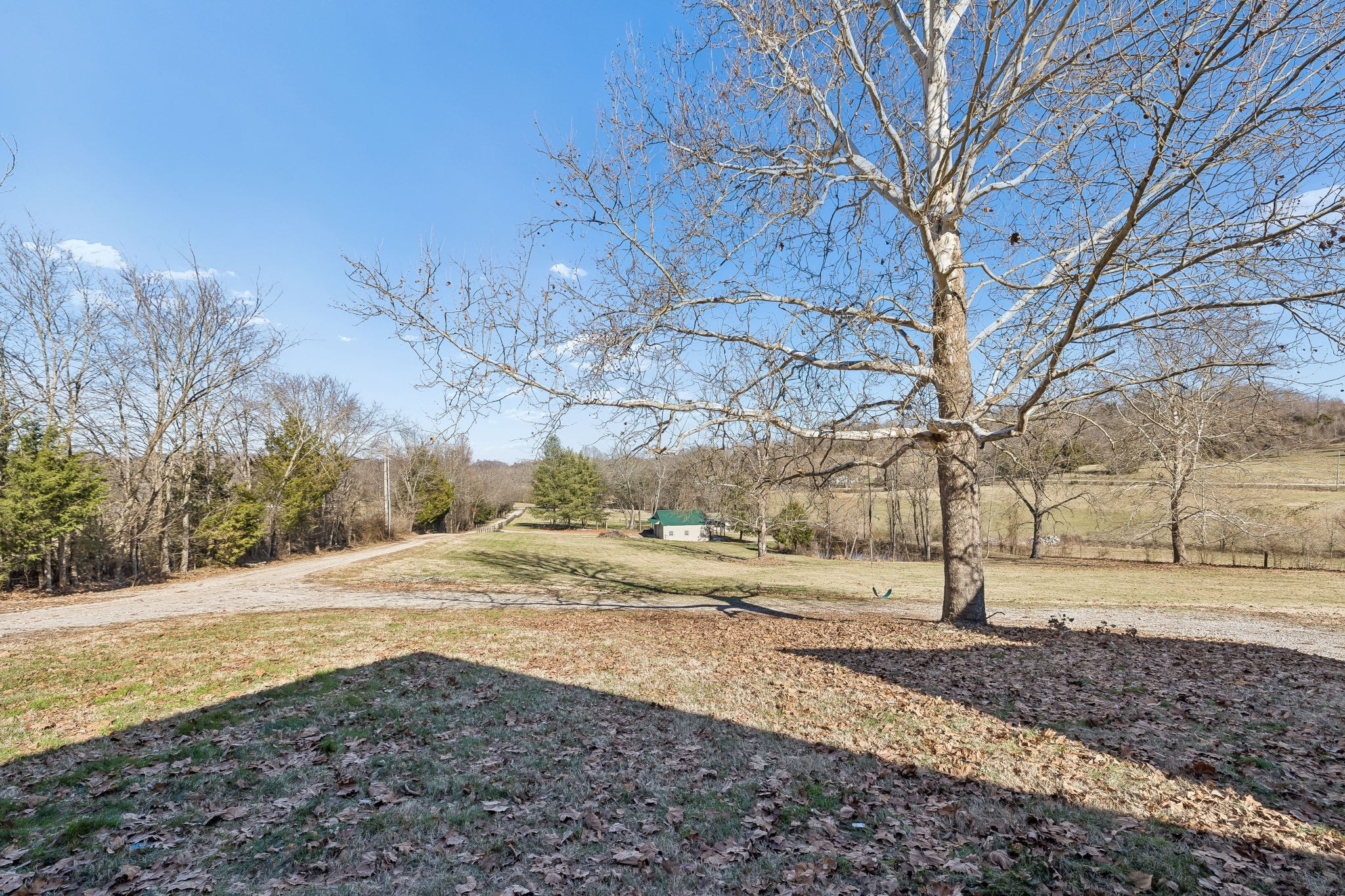 1909 Evergreen Road Thompson's Station, TN 37179 - Photo 54 of 75 a view of dirt yard with a tree