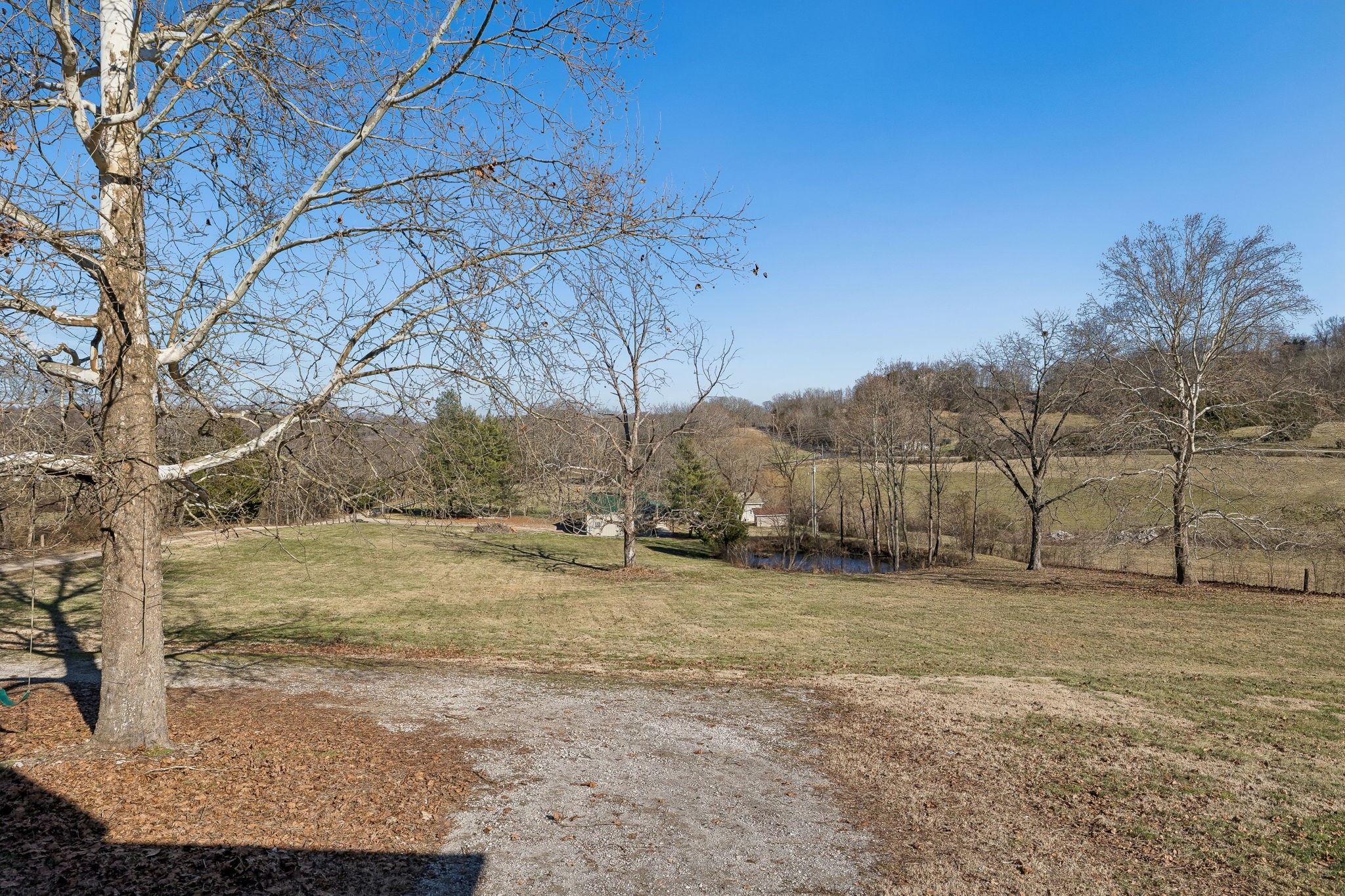 1909 Evergreen Road Thompson's Station, TN 37179 - Photo 59 of 75 a view of a yard with a tree