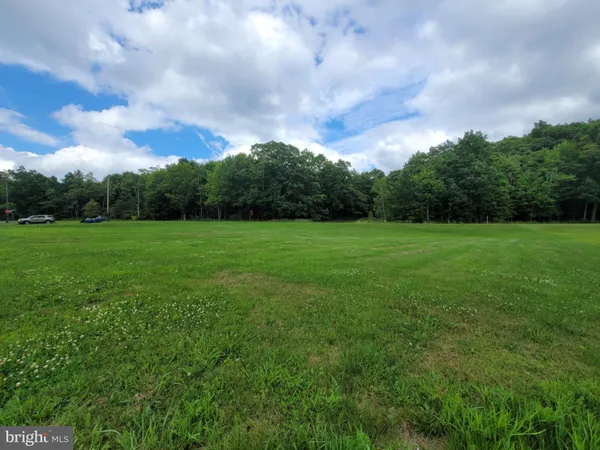 a view of a green field and trees