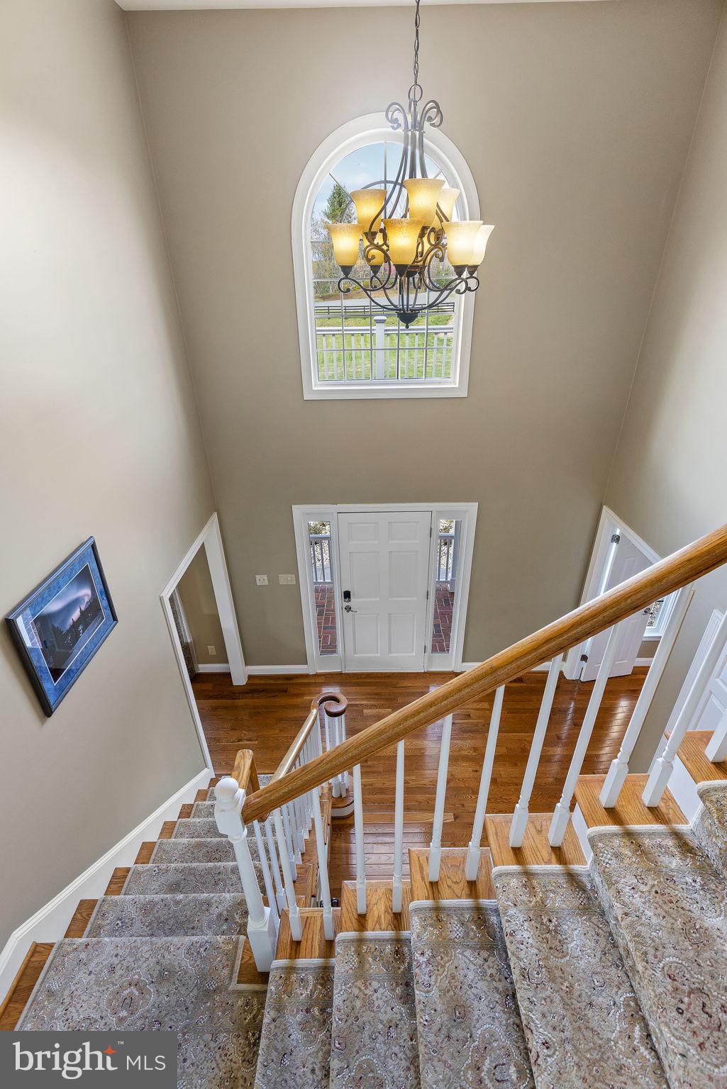43 Winning Colors Road Stafford, VA 22556 - Photo 29 of 62 Gallery Image 29