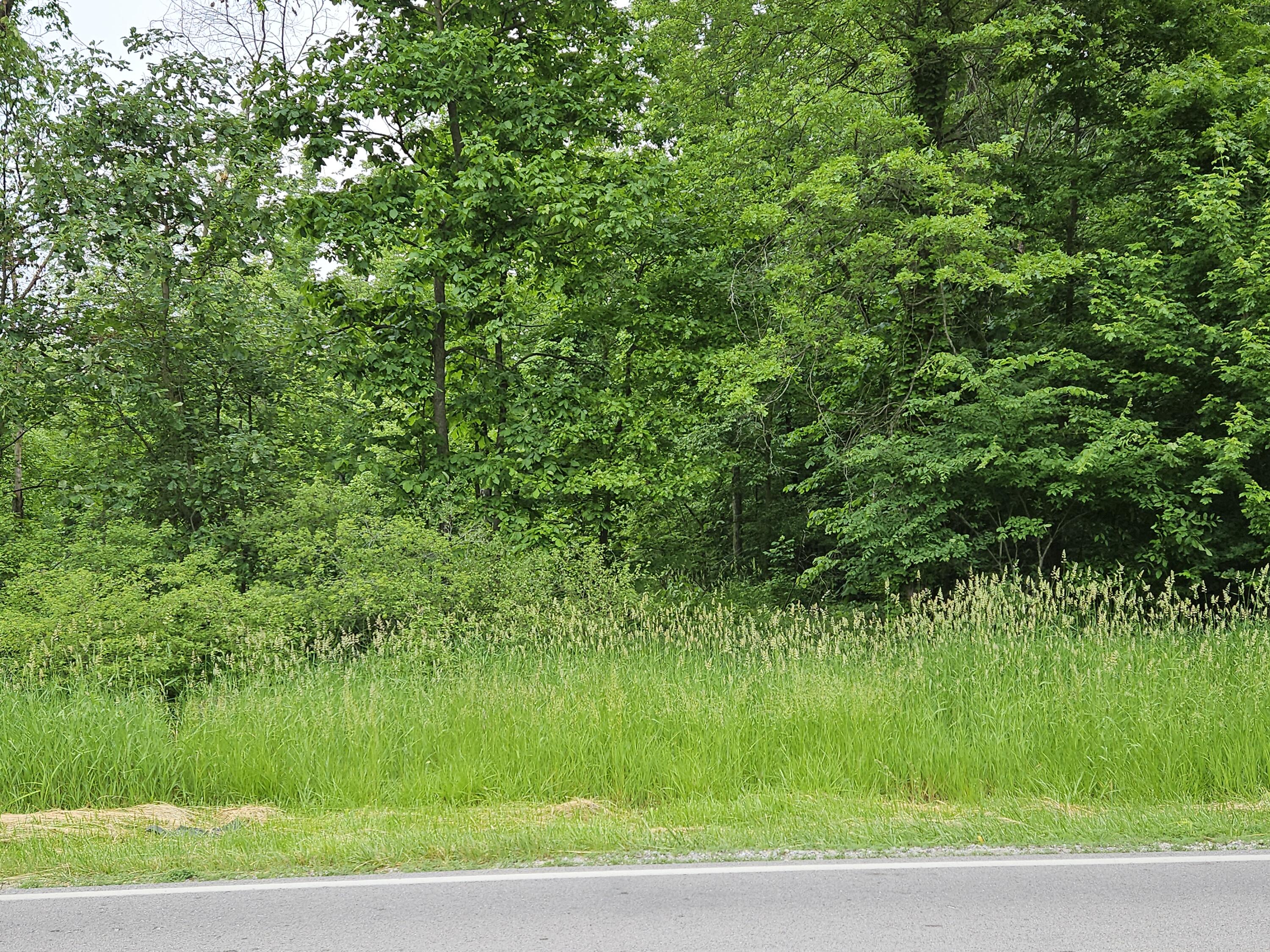 0 Botkins Road Jackson Center, OH 45334 - Photo 9 of 10