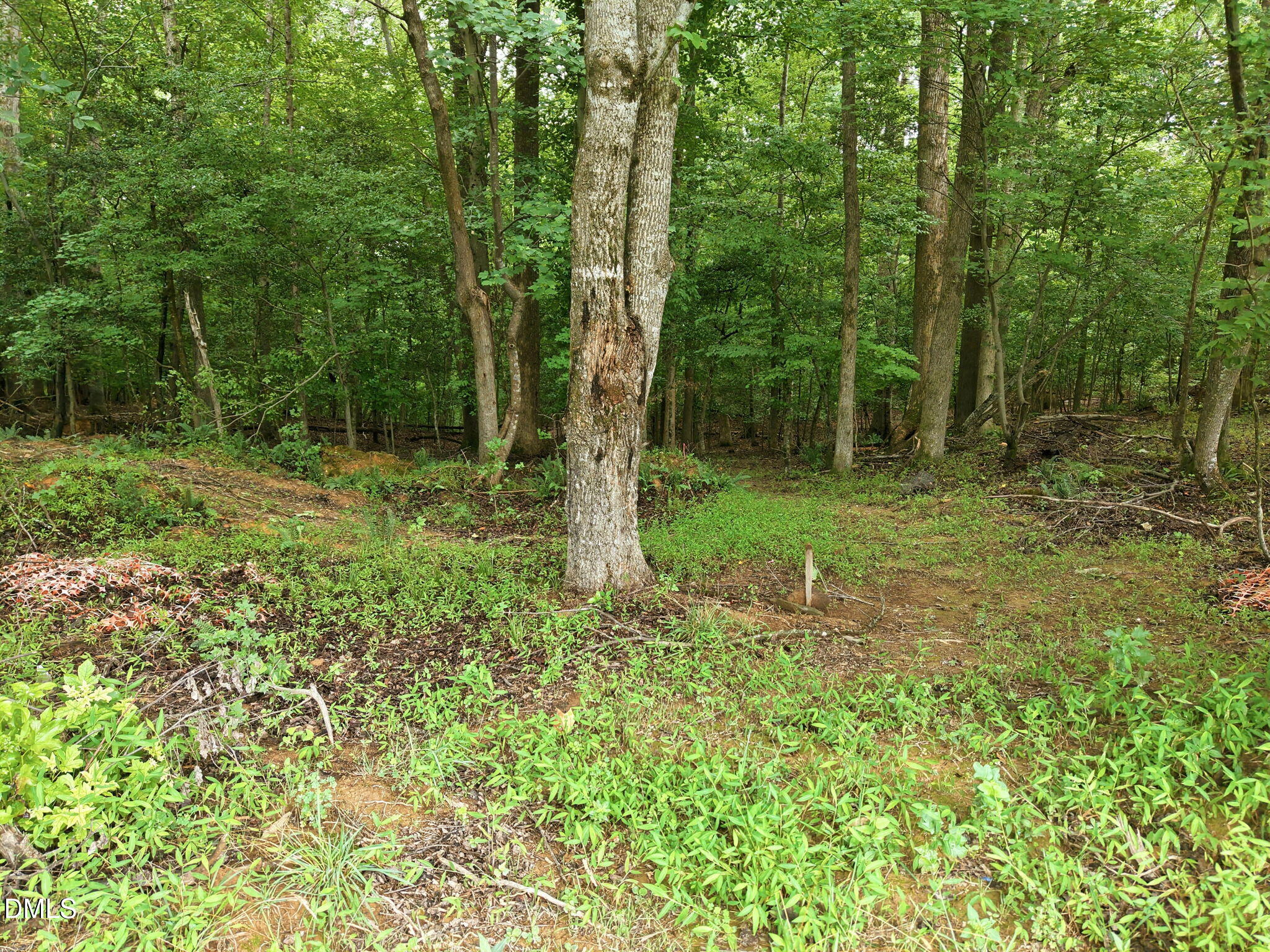 618 Bowen Road Rougemont, NC 27572 - Photo 10 of 20 15-web-or-mls-DJI_20260713135423_0811_D