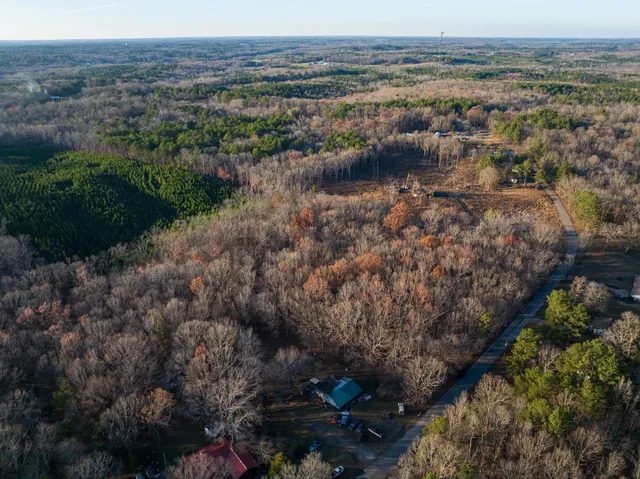 a view of a city with lush green forest