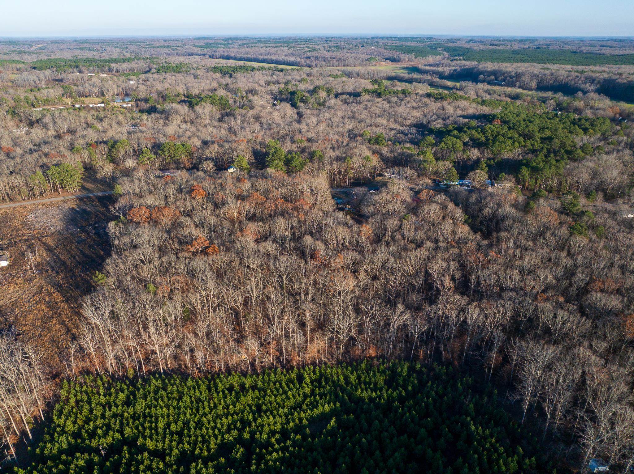 0 Sewell Road Selmer, TN 38375 - Photo 4 of 8 a view of a city with lush green forest