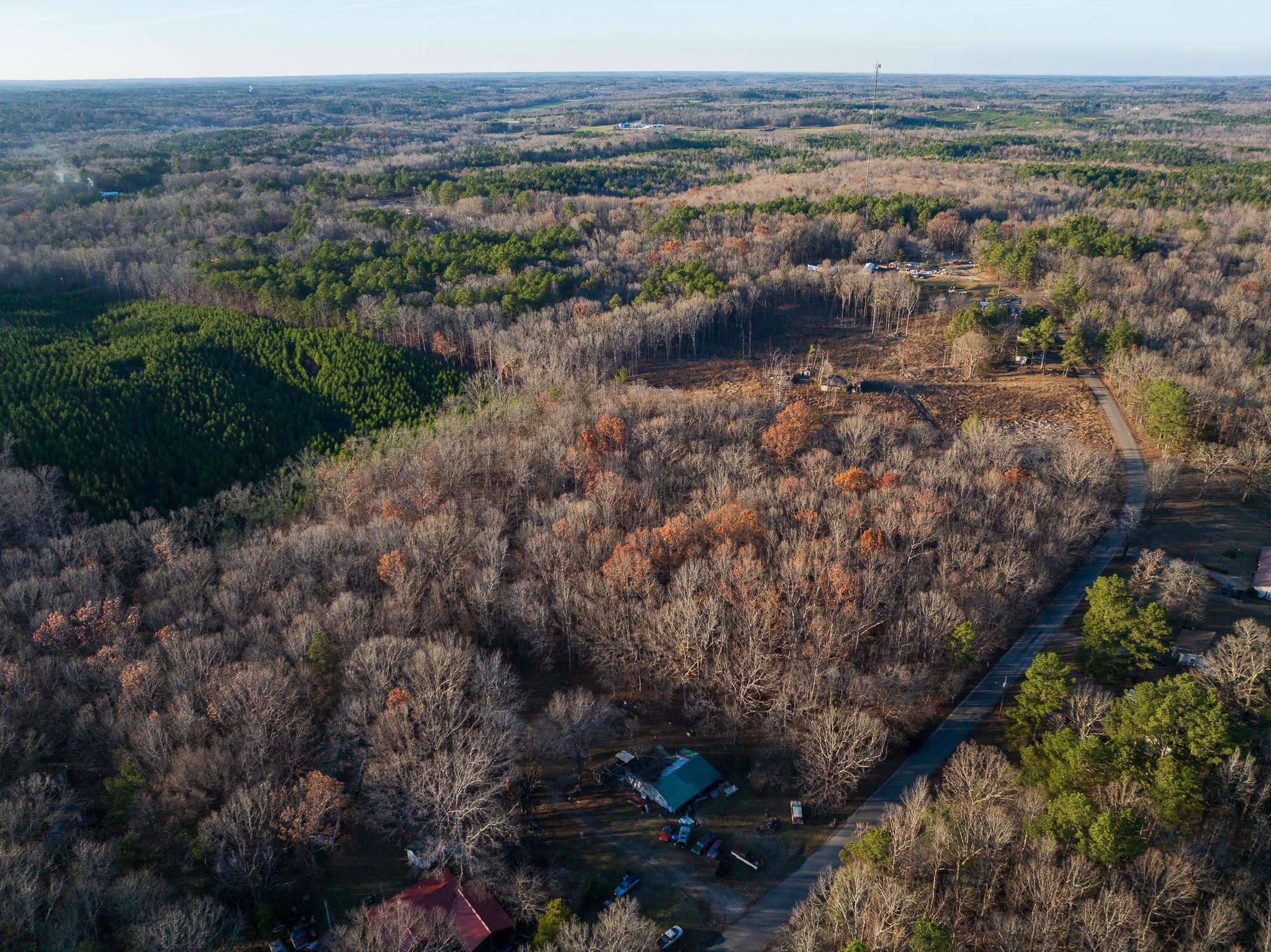 0 Sewell Road Selmer, TN 38375 - Photo 4 of 8