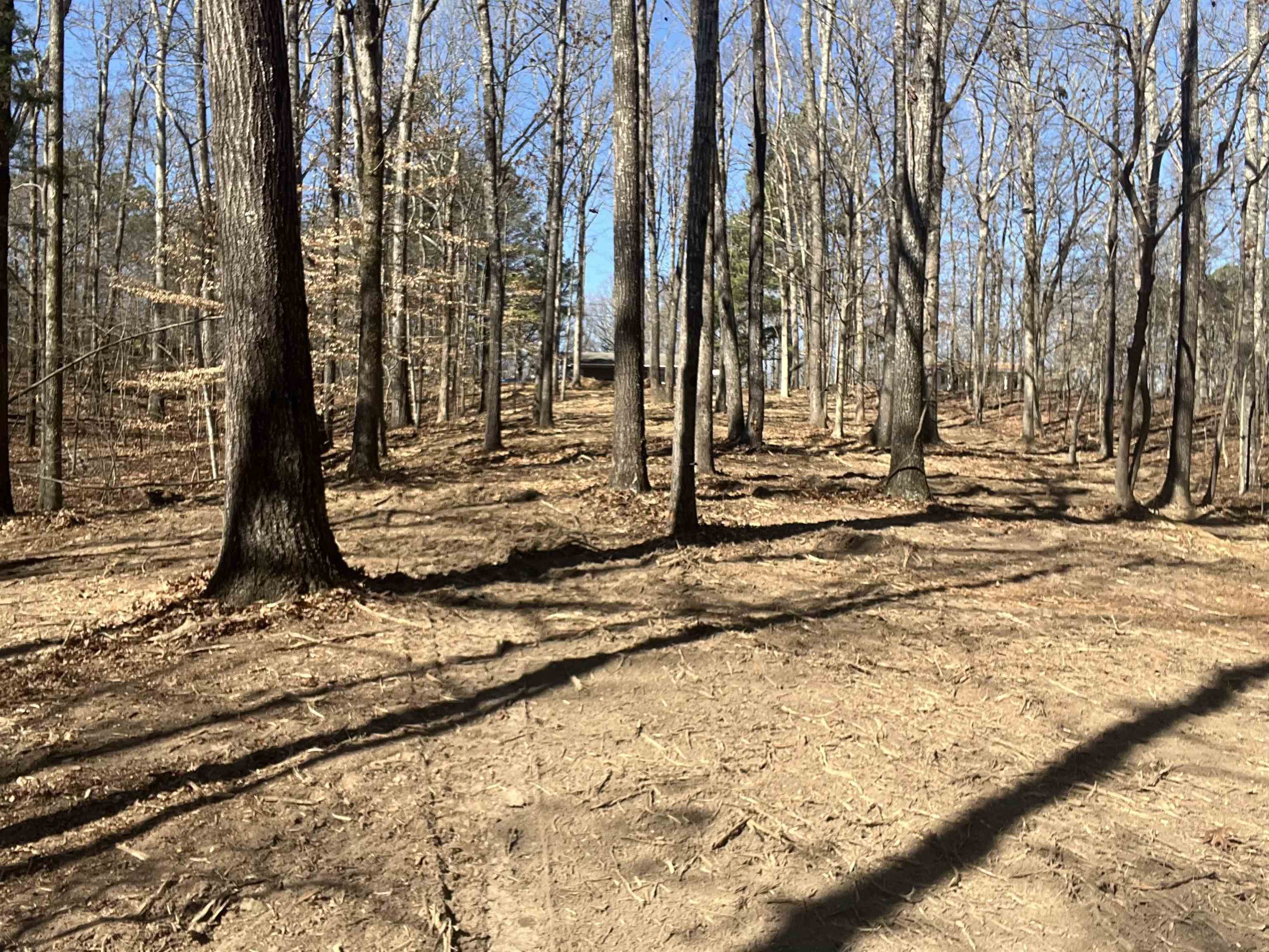 0 Sewell Road Selmer, TN 38375 - Photo 8 of 10 a view of a yard with trees