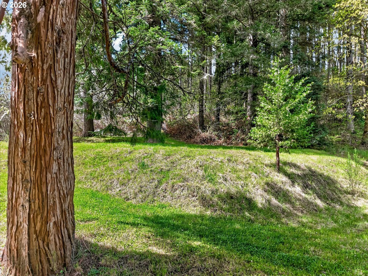 6791 Southwest Mill Road Gaston, OR 97119 - Photo 26 of 33