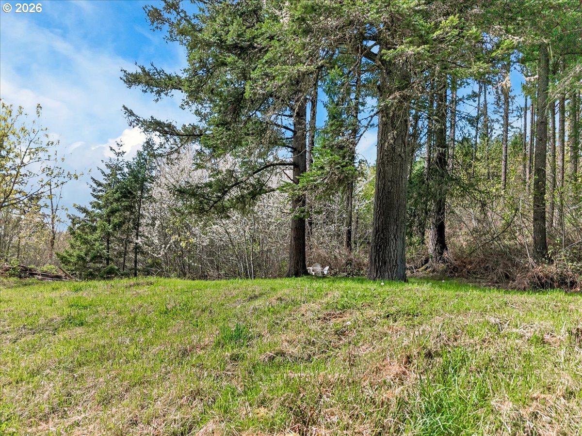 6791 Southwest Mill Road Gaston, OR 97119 - Photo 27 of 33