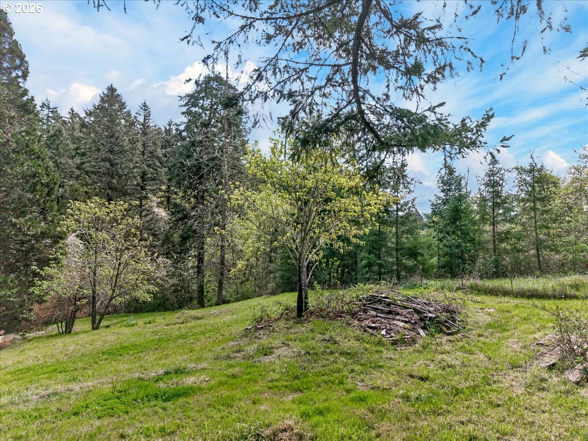 6791 Southwest Mill Road Gaston, OR 97119 - Photo 28 of 33