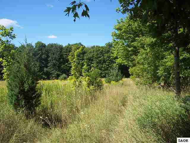 Vl North River Road Owosso, MI 48867 - Photo 3 of 4 48058-2.JPG