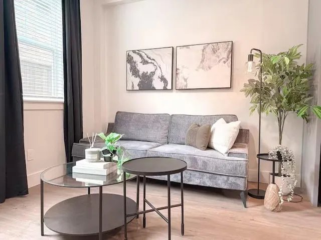 a living room with furniture and a potted plant