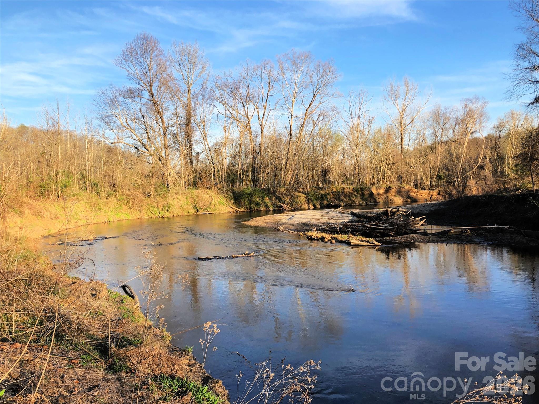 0 River Road Tryon, NC 28782 - Photo 23 of 30