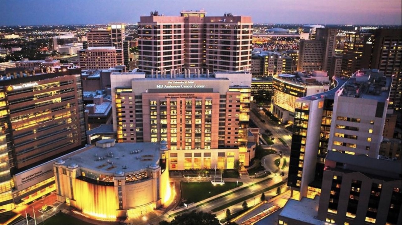 9711 Linkmeadow Lane, Unit 10 Houston, TX 77025 - Photo 26 of 27 a view of a city