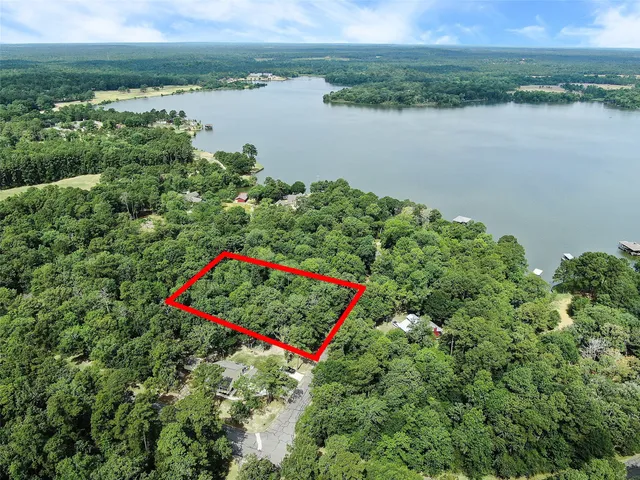 a view of a lake with a park